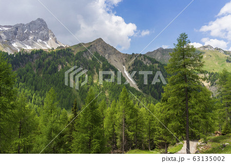 Picturesque mountain landscape of Val Contrin. Picturesque mountain landscape of Val Contrin. 63135002