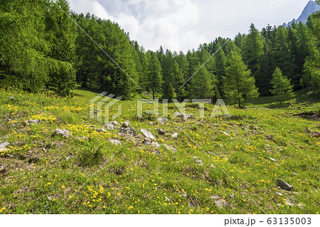 Picturesque mountain landscape of Val Contrin. 63135003