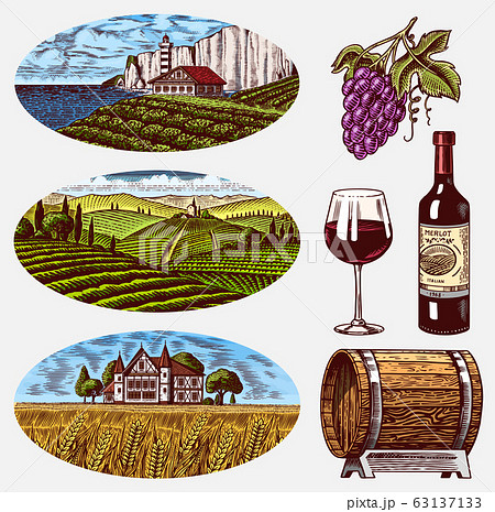 Vineyards and Wine Set. Grapes and wooden barrel. Vine plantation for bottle labels. Rural Fields 63137133