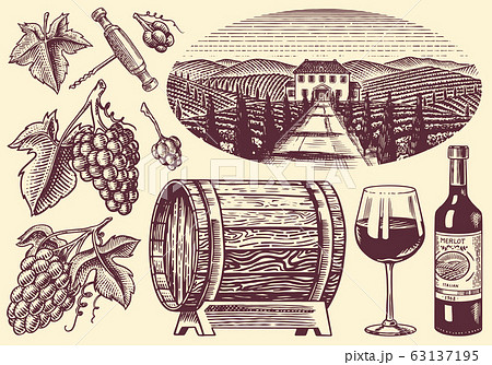 Vineyard and Wine Set. Grapes and wooden barrel. Vine plantation for bottle labels. Engraved Vineyard and Wine Set. Grapes and wooden barrel. Vine plantation for bottle labels. Engraved 63137195