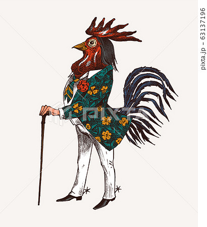 Rooster Character With A Cane And Boots のイラスト素材