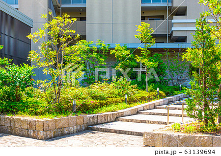 新緑の街路樹とマンションアプローチ 63139694