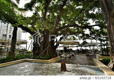 ハワイの休日 63142719