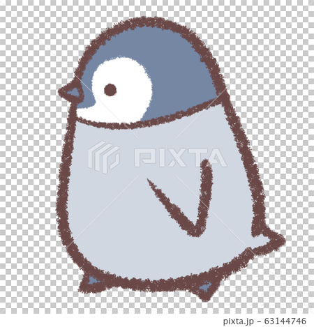 ペンギンヒナ歩く 63144746