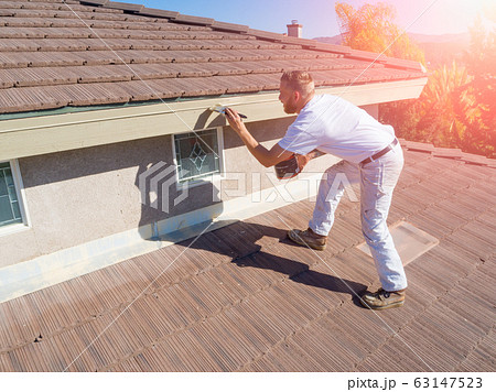 Professional Painter Using A Brush to Paint House Professional Painter Using A Brush to Paint House 63147523