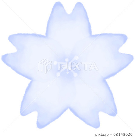 桜(青) 桜(青) 63148020
