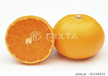 せとか(柑橘) せとか(柑橘) 63148291