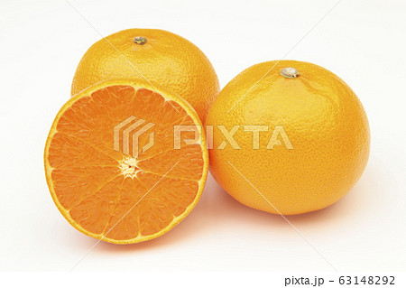 せとか（柑橘） 63148292