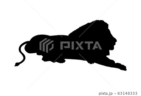 動物シルエット動物園ライオン5 動物シルエット動物園ライオン5 63148333