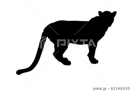 動物シルエット動物園ヒョウ1 動物シルエット動物園ヒョウ1 63148350
