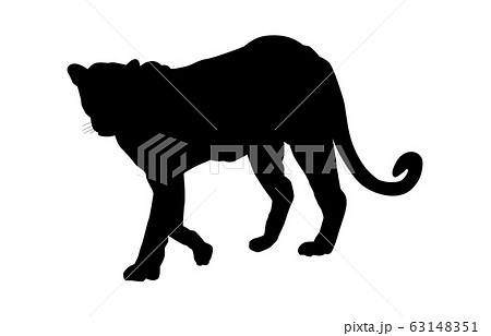 Animal silhouette zoo leopard 2 - Stock Illustration [63148351] - PIXTA