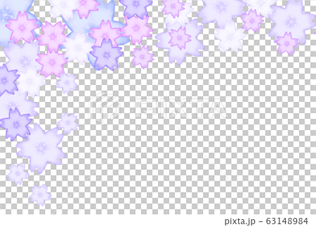 Cherry blossom background (dark purple) 63148984