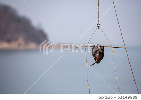 舞衣島 写真 海 63149889