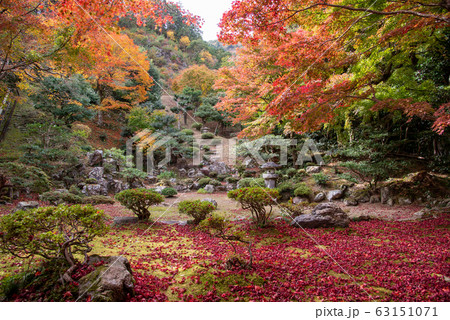 滋賀県 米原市 清瀧寺徳源院の紅葉のお庭 滋賀県 米原市 清瀧寺徳源院の紅葉のお庭 63151071