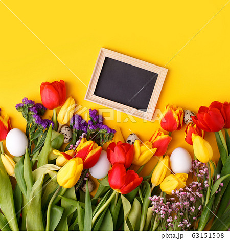 Springtime season greeting card - happy easter 63151508