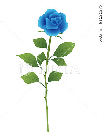 青い薔薇 一輪の青いバラのイラスト素材