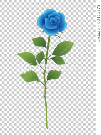 一朵藍玫瑰 插圖素材 圖庫