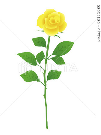 黄色い薔薇 一輪の黄色いバラのイラスト素材