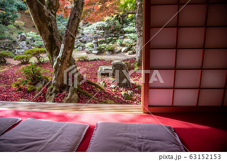 滋賀県　米原市　清瀧寺徳源院の紅葉のお庭　縁側からの眺め 63152153