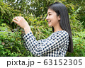 beauty asina girl 63152305