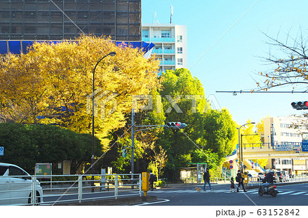 秋の天現寺橋 秋の天現寺橋 63152842