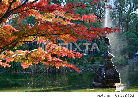 日比谷公園の秋 63153452