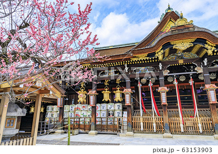 梅香る北野天満宮 63153903