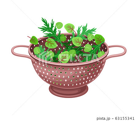 Plastic Kitchen Colander or Strainer with Greenery Inside Vector Illustration Plastic Kitchen Colander or Strainer with Greenery Inside Vector Illustration 63155341