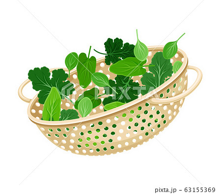 Plastic Kitchen Colander or Strainer with Greenery Inside Vector Illustration 63155369