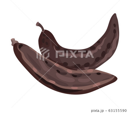 Carob Pod with Seeds Inside Isolated on White Background Vector Illustration 63155590