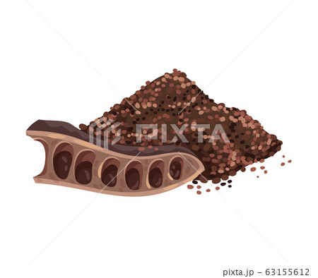 Carob Pod with Seeds Inside and Pile of Milled Plant Isolated on White Background Vector Illustration 63155612