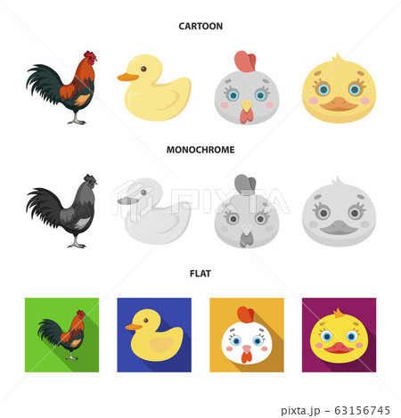 Vector design of funny and poultry icon. Set of funny and farming vector icon for stock. 63156745