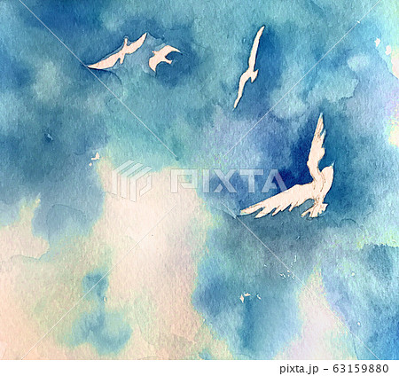 青空と鳥 63159880