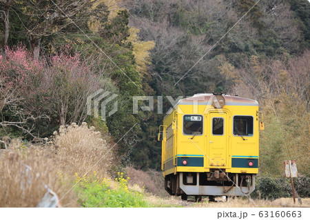 いすみ鉄道「黄色い列車と小さい春」山間部背景にの写真素材 [63160663] - PIXTA