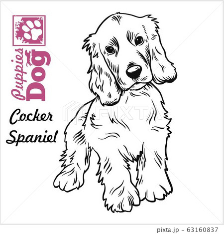 Cute cocker spaniel sketch  rDigitalArt