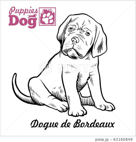 can dogue de bordeaux be black