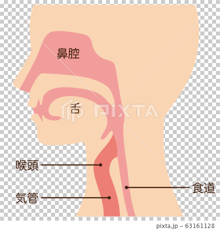 Throat mechanism Throat mechanism 63161128