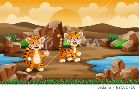 Two baby tigers in the desert 63161710