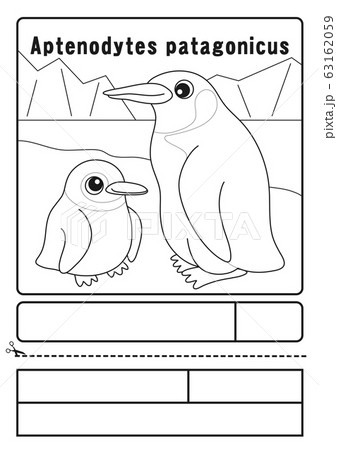 オウサマペンギン ぬりえ 応募用紙のイラスト素材