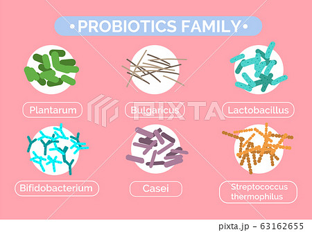 Probiotics Family, Good Bacteria and Text Set 63162655