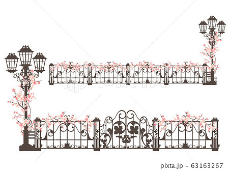 spring season vector design of iron gate, fence and street light among sakura flowers 63163267