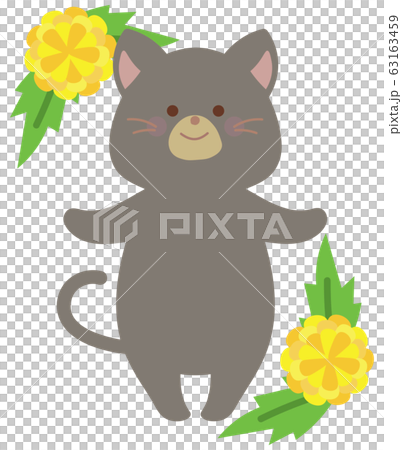 タンポポとネコのイラスト タンポポとネコのイラスト 63163459