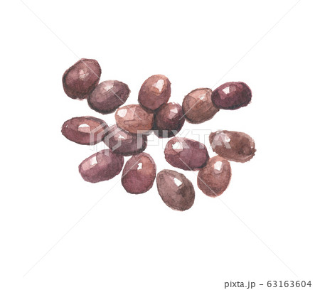 サイカチ 63163604