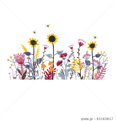 Wild and honey meadow flowers scene. Vector nature background with hand drawn wild herbs, flowers and leaves on white. Wild and honey meadow flowers scene. Vector nature background with hand drawn wild herbs, flowers and leaves on white. 63163617