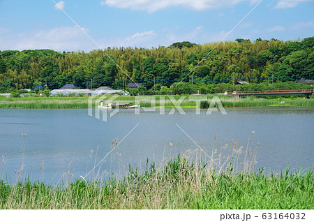 西印旛沼（千葉県佐倉市） 63164032