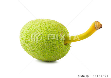 Fresh breadfruit isolated on a white background 63164251