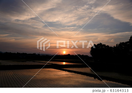 夕陽と水田 夕陽と水田 63164313