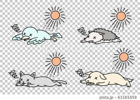 熱中症の動物セット(カラー) 熱中症の動物セット(カラー) 63165859