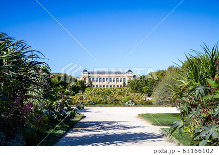 Jardin des plantes Park and museum, Paris, France 63166102