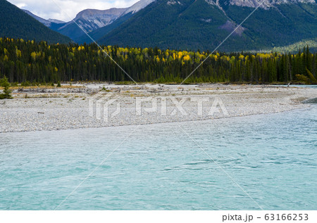 秋のカナディアンロッキー　 黄葉のクートニー・バレー（クートニー国立公園　カナダ　BC州） 63166253